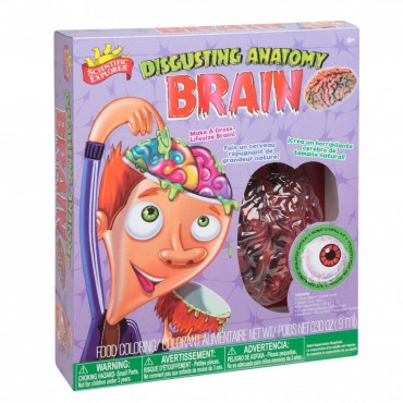 Scientific Explorer Disgusting Anatomy Kit Brain